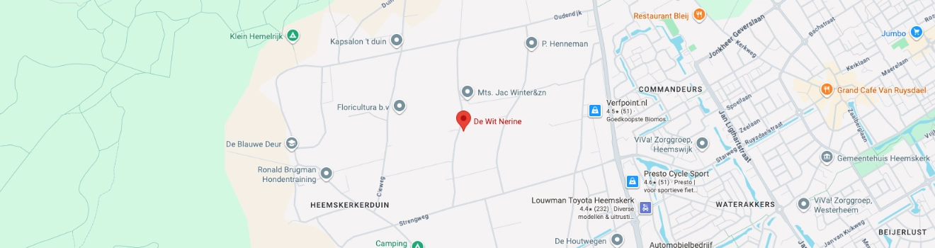 De Wit Nerine Route